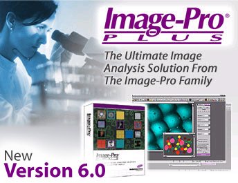 IPB Image
