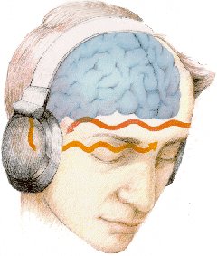 IPB Image