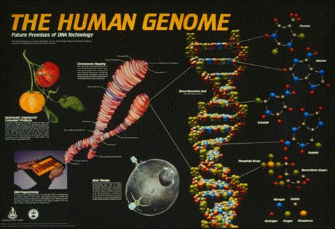 《生物信息学课件》[PPT]