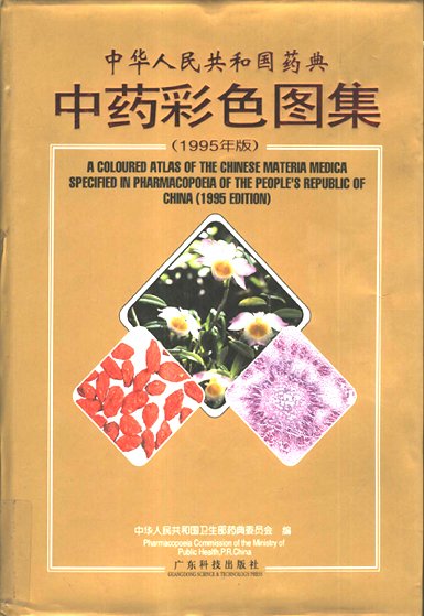IPB Image