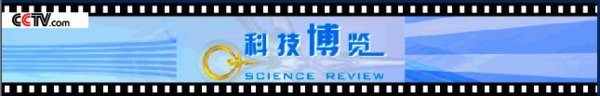 IPB Image