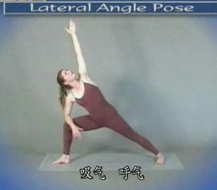 IPB Image