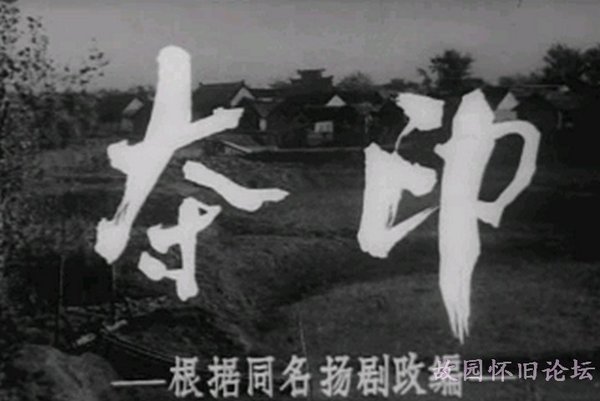 IPB Image