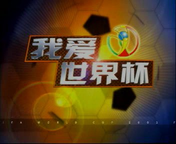 《我爱世界杯 2002年世界杯cctv完全总结》足球之夜特辑[rmvb]