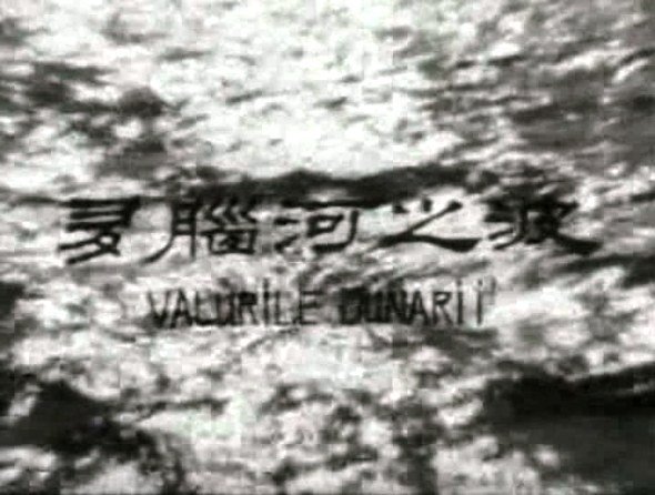 IPB Image