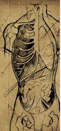 IPB Image