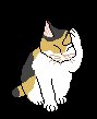 0016_vqnM6uk9XwXt.gif